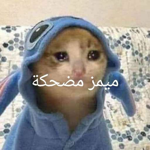 ميمز مضحكة - funny memes icon