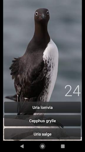 Bird Quiz Europe screenshot 4