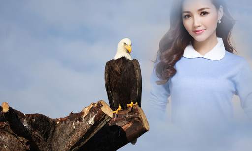 Eagles Photo Frame 5 تصوير الشاشة