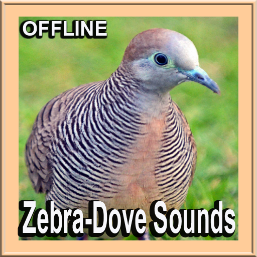 Bird Sounds : Zebra Dove icon