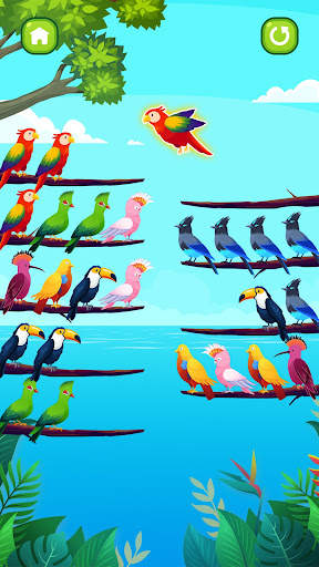 Bird Sort Puzzle :Bird Games screenshot 5