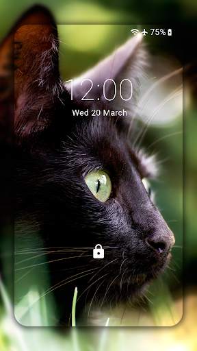 Black Cat Wallpaper Full HD (backgrounds & themes) screenshot 1