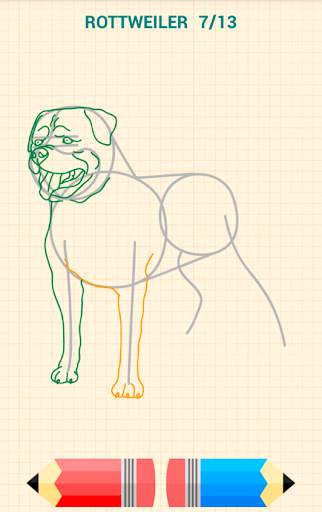 How to Draw Dogs скриншот 10