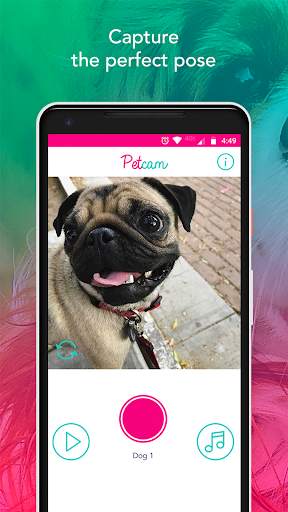 Petcam - Pet Camera screenshot 3
