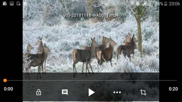 Simple Media Player screenshot 3