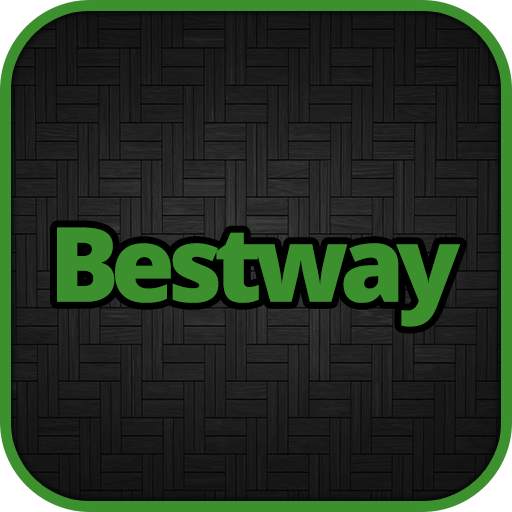 Bestway 1.1