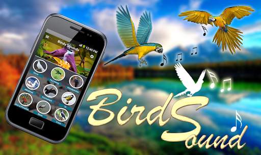 Latest Bird Ringtones 2019 screenshot 1