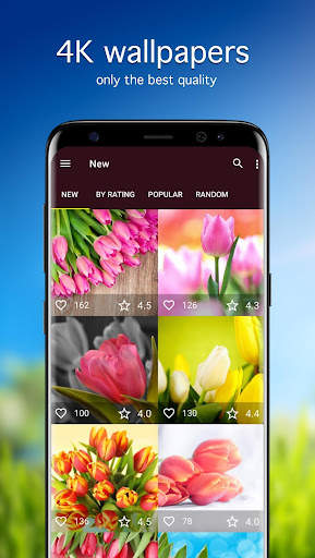 Tulip Wallpapers PRO screenshot 1