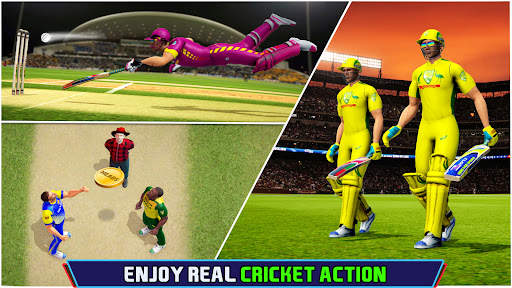 Cricket Championship Game 2024 screenshot 2