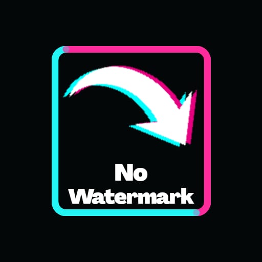 Downloader For TikTok - Free Without Watermark icon