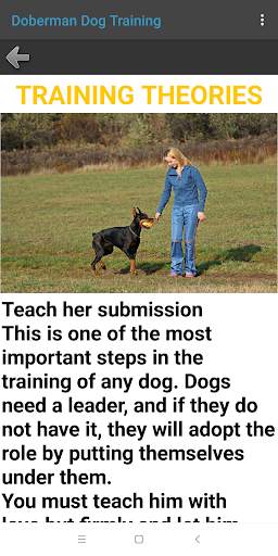 Doberman Dog Training screenshot 23