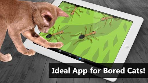 Cat Toys - AntHunt Cat Games screenshot 3