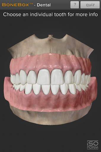BoneBox™ - Dental Lite screenshot 1