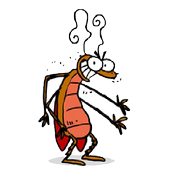 Mata Baratas icon