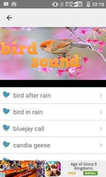 Bird Sound screenshot 3