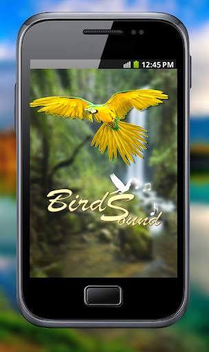 Latest Bird Ringtones 2019 screenshot 2