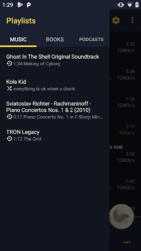 LAP - Local Audio Music Player screenshot 5