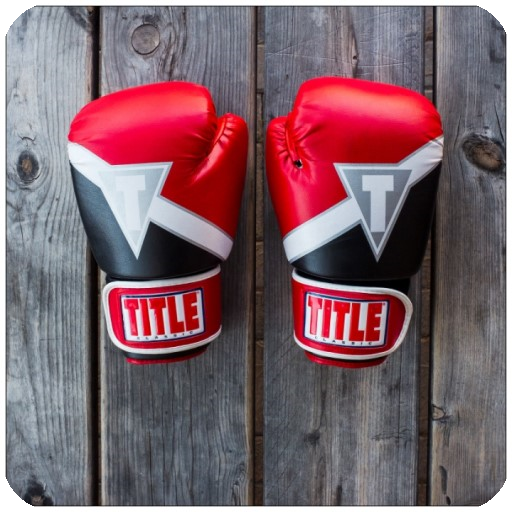 Learn boxing icon