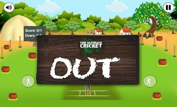 The Ultimate Cricket League screenshot 7