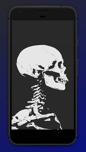Skull Wallpapers screenshot 4