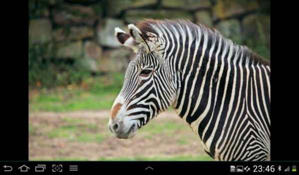 Photo Album SlideShow Maker screenshot 4
