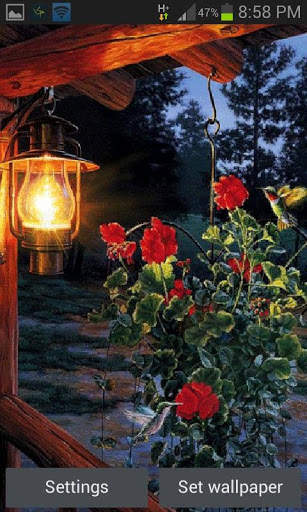 Flowers In Night LWP screenshot 1