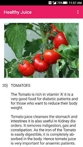 Healthy Vegetable and Fruit Juice Recipe screenshot 3