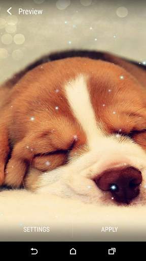Beagle Live Wallpaper screenshot 5