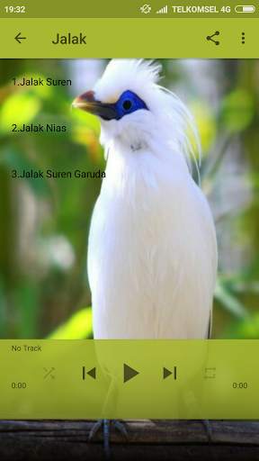 Kicau Burung screenshot 3
