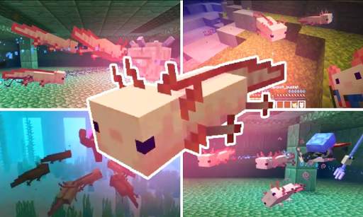 Axolotls Mod for Minecraft PE screenshot 1