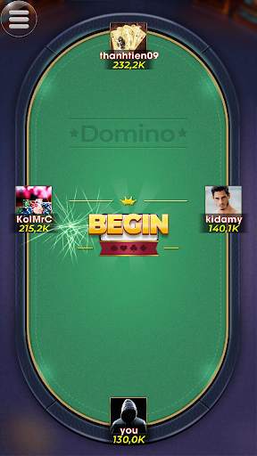 Domino screenshot 3