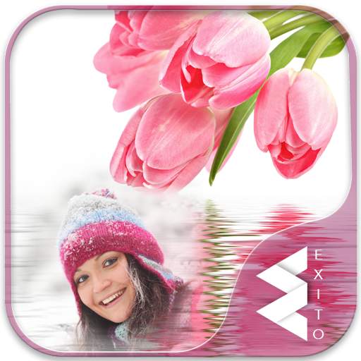 Tulips Photo Frames 1.17