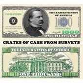 Crates of Cash From Surveys logo