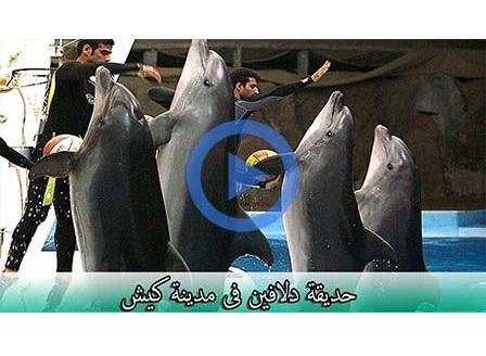 ابوعلی 7 تصوير الشاشة
