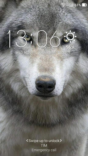 Wolf Wallpaper screenshot 3