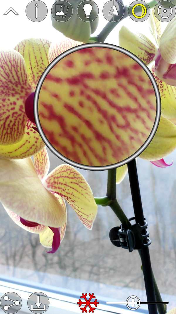 Magnifier & Contrast Enhancer screenshot 3