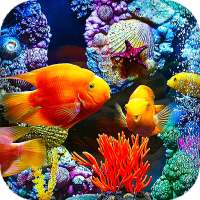 Aquarium Live Wallpaper (Wallpapers & Backgrounds)