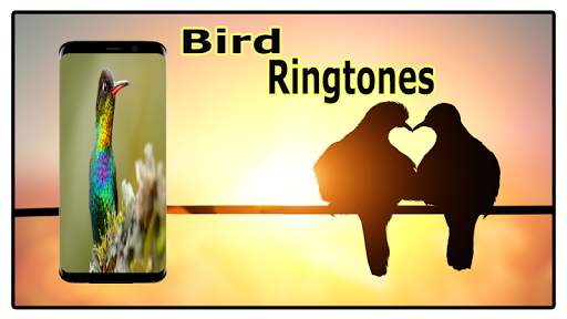 Bird Sounds Ringtones Free screenshot 8