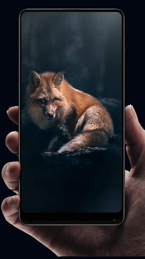 Fox Wallpaper HD screenshot 11