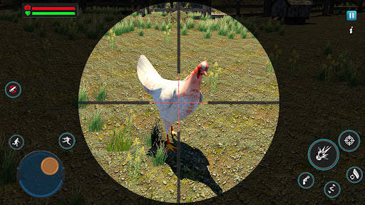 Chicken Shoot screenshot 3