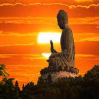 Dhammapada Hindi on 9Apps
