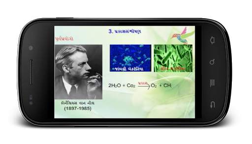 Animated Biology GSEB 12-3-1 screenshot 4
