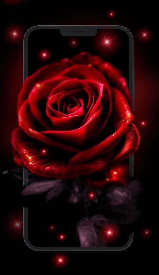 Neon Red Rose Live Wallpaper screenshot 4