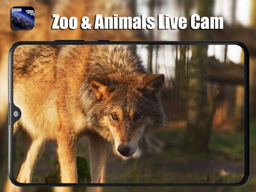Live Public Cams-Live Earth Web Cams screenshot 6