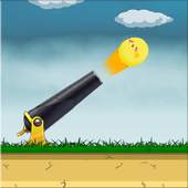 Birds Cannon 1.1