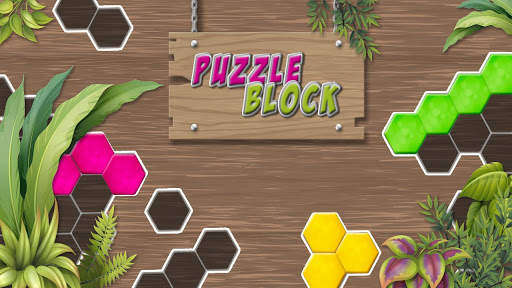 Puzzle Solving - Block Game screenshot 1