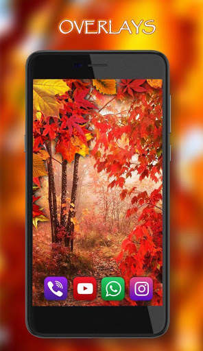 Autumn Rain live wallpaper screenshot 2