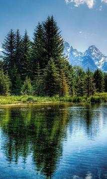 Nature Wallpapers Big Pack screenshot 2