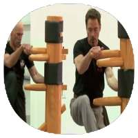 Wing chun techniques icon
