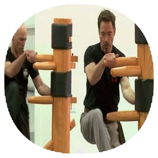 Wing chun techniques 1.1